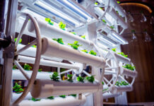 Logistics: Industry Solutions from RS