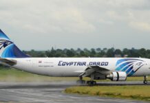 Globe Air Cargo charts EGYPTAIR’s freight success
