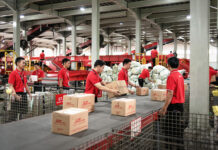 J&T Express’s “Double 6” parcel volume hits new high