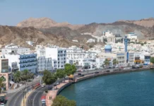 Oman, GCC push for joint digital logistics market